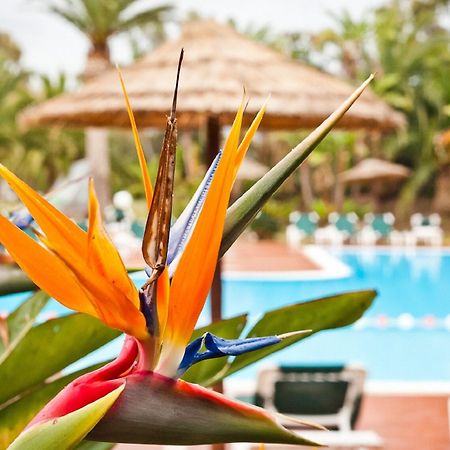 Baia Delle Palme Beach Santa Margherita di Pula Ngoại thất bức ảnh